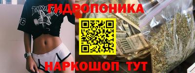 PSILOCYBIN Кунгур