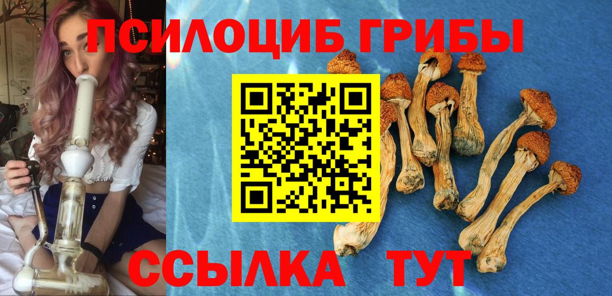 Псилоцибиновые грибы ЛСД  Вход с VPN  Кировск 